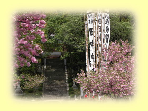 この年は桜の開花が遅く、お祭りに間に合いました。